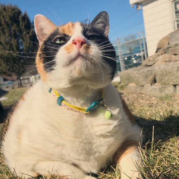 Meet your Posher, Taryn - Picture 4 of 5